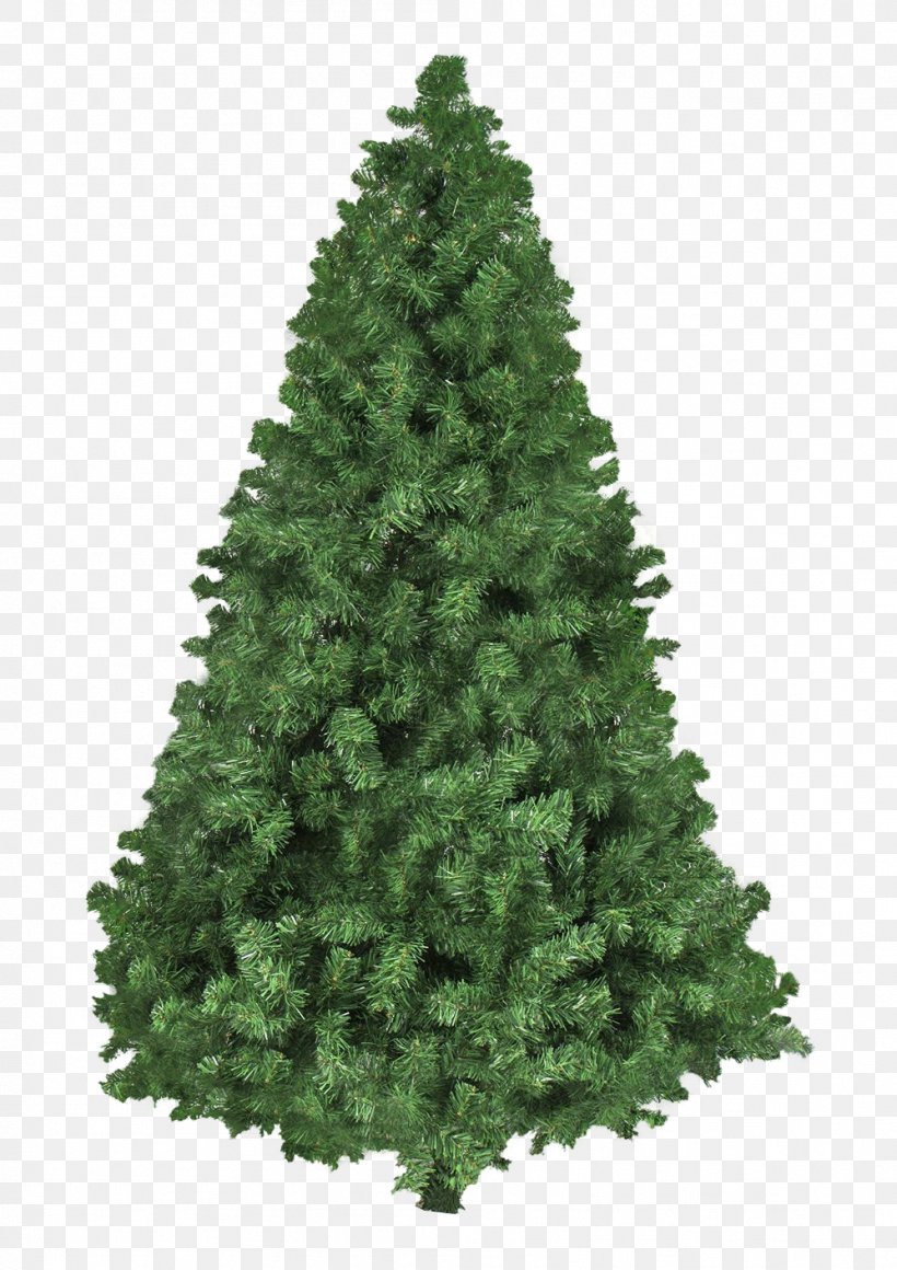 Christmas Tree Wallpaper, PNG, 998x1412px, Christmas Tree, Biome, Christmas, Christmas Decoration, Conifer Download Free