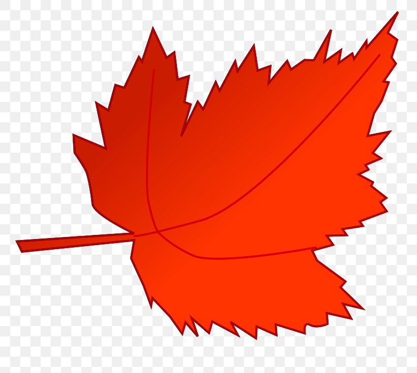 Autumn Leaf Color Autumn Leaf Color Red Clip Art, PNG, 800x732px, Autumn, Autumn Leaf Color, Blog, Color, Flower Download Free