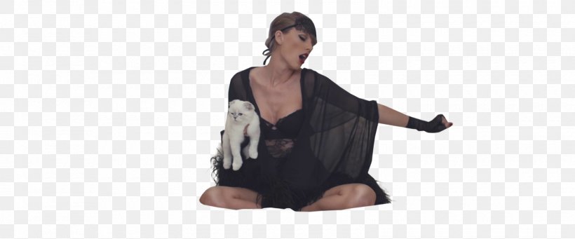 Blank Space 0 Sounds Of The Season: The Taylor Swift Holiday Collection Gorgeous, PNG, 1600x667px, 1989, Blank Space, Arm, Celebrity, Clothing Download Free