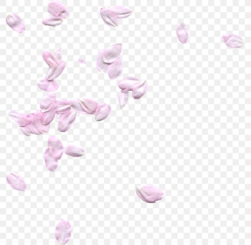 1.2.3 Dís Petal, PNG, 781x800px, 1213, Petal, Biscuits, Flower, Lavender Download Free