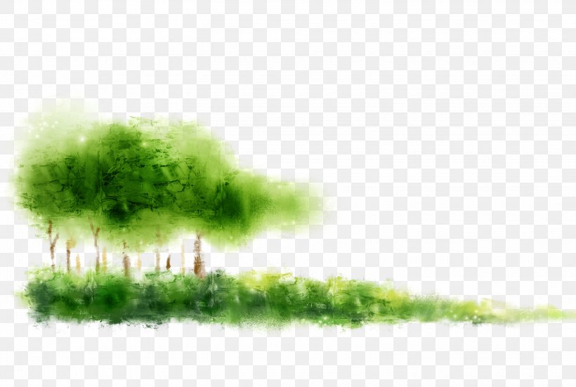 Computer File, PNG, 3050x2050px, Green, Branch, Color, Creativity, Drawing Download Free