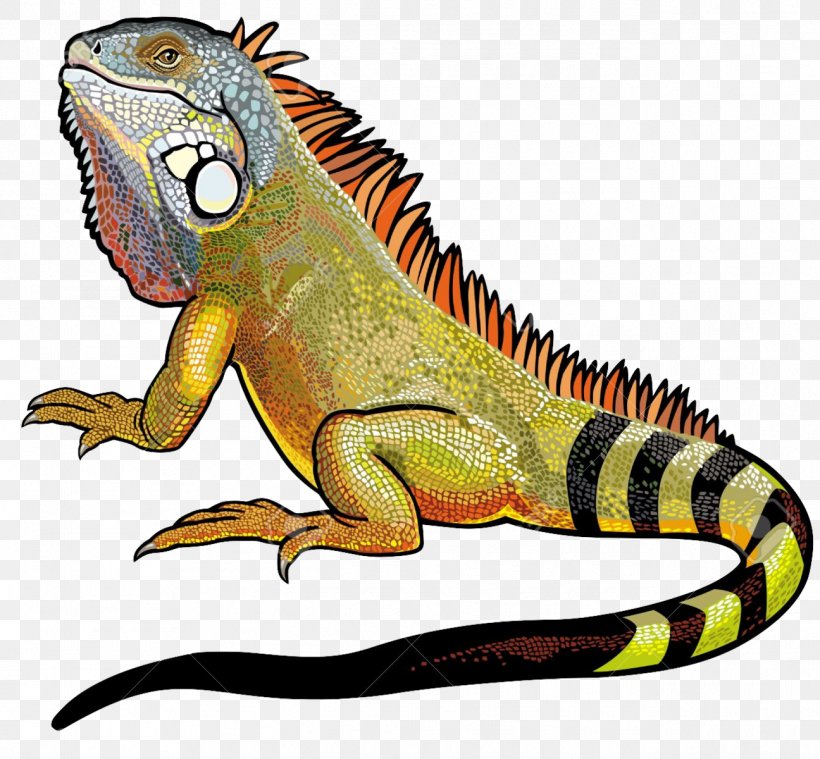 Green Iguana Lizard Clip Art, PNG, 1296x1200px, Green Iguana, Amphibian, Blue Iguana, Common Iguanas, Fauna Download Free