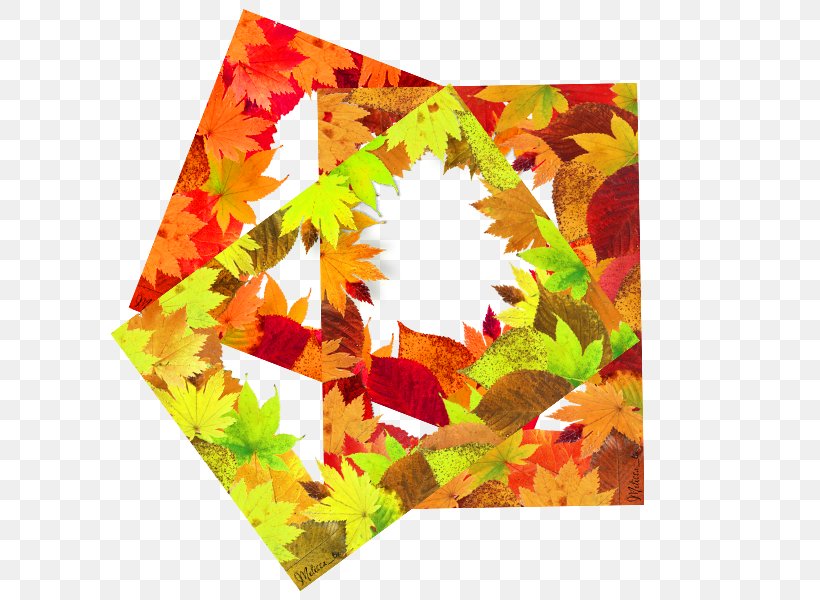 Leaf Picture Frame, PNG, 600x600px, Leaf, Drawing, Maple Leaf, Petal, Photography Download Free