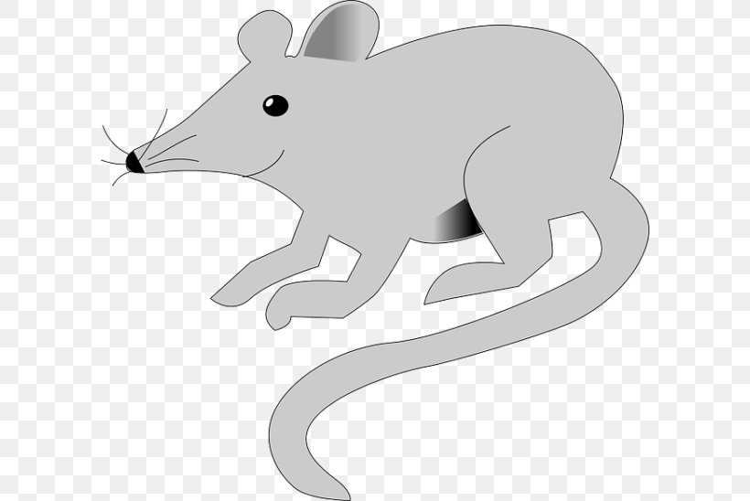 Mouse Rodent Brown Rat Laboratory Rat Animal, PNG, 600x548px, Mouse, Animal, Black And White, Brown Rat, Canidae Download Free