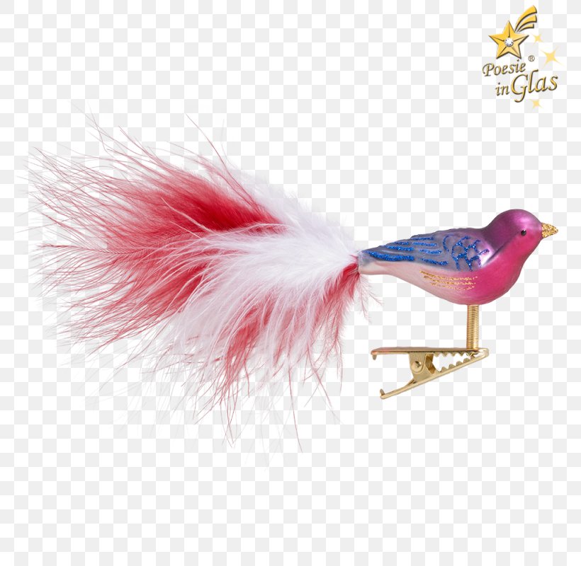Pink M Feather, PNG, 800x800px, Pink M, Beak, Feather, Pink, Tail Download Free