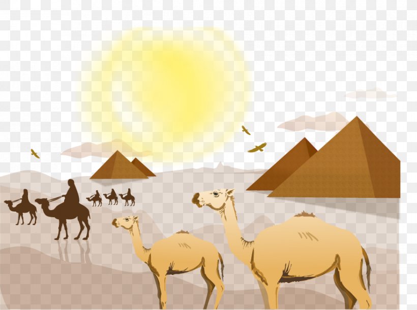 Sahara Desert Clip Art, PNG, 878x655px, Sahara, Arabian Camel, Cactaceae, Camel, Camel Like Mammal Download Free