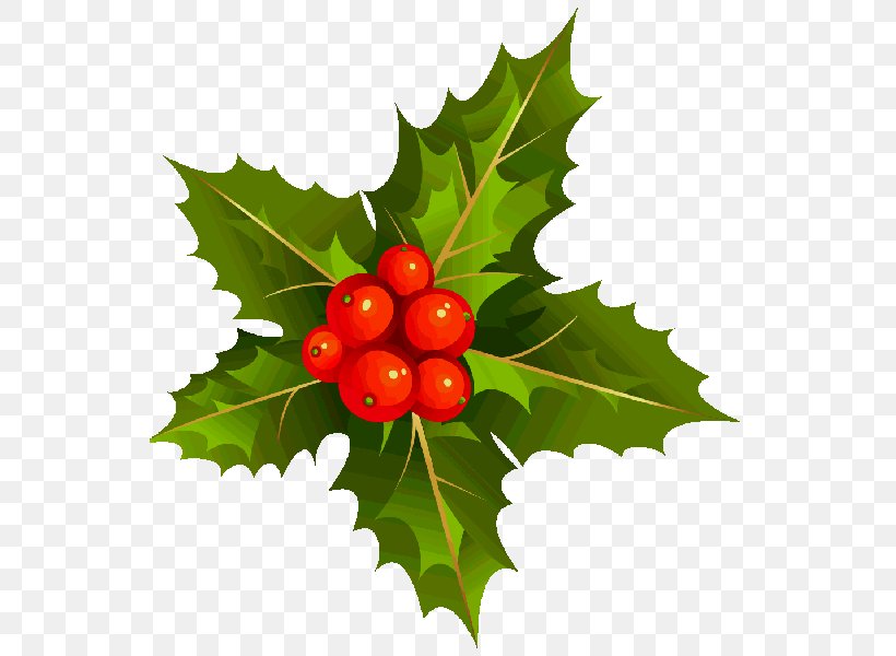 Bluedolph: A Christmas Tale Santa Claus Gift Clip Art, PNG, 563x600px, Christmas, Aquifoliaceae, Aquifoliales, Berry, Bluedolph A Christmas Tale Download Free