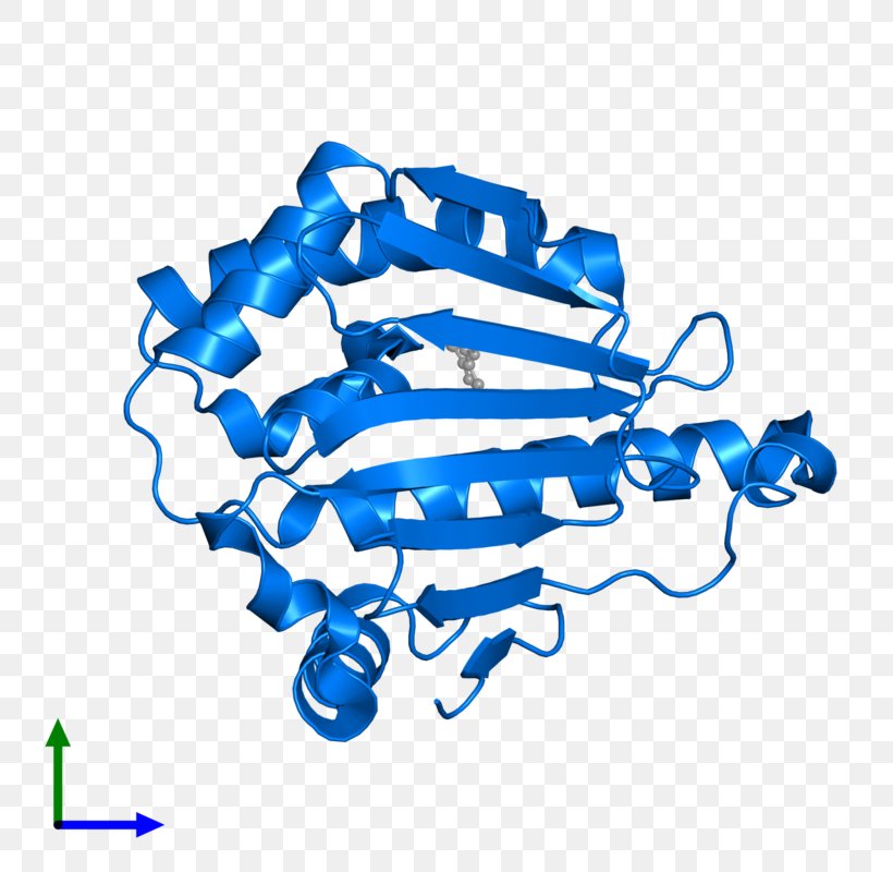 Logo Clip Art, PNG, 800x800px, Logo, Area, Blue, Electric Blue, Organism Download Free
