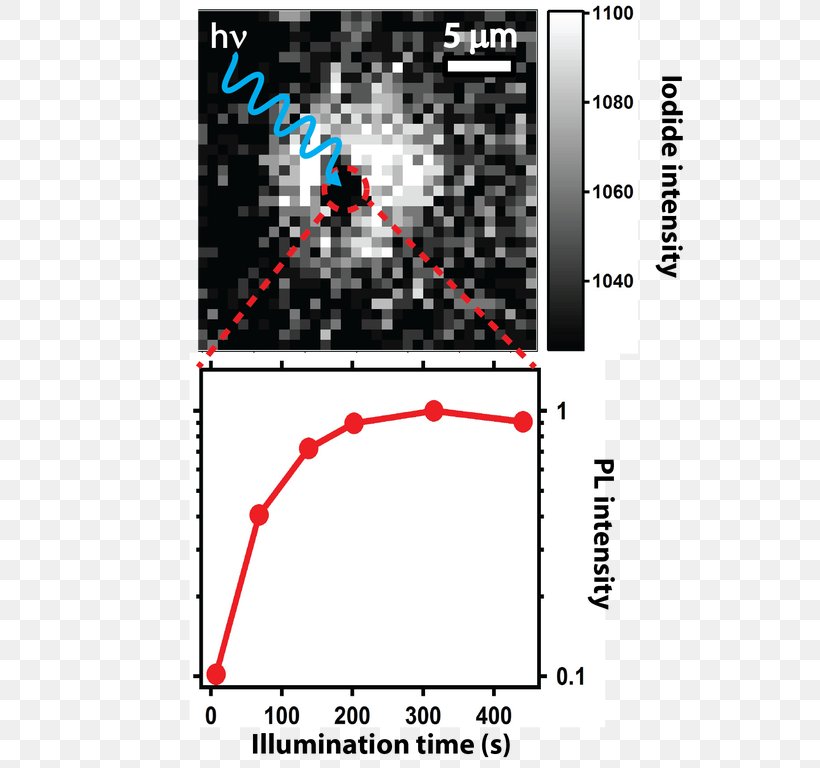 Perovskite Grain Boundary Diffusion Coefficient Microstructure Metal, PNG, 593x768px, Perovskite, Area, Diagram, Diffusion, Electron Download Free