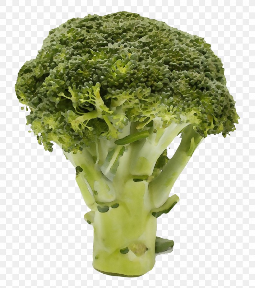 Vegetables Cartoon, PNG, 1157x1307px, Vegetable, Broccoflower, Broccoli, Cabbage, Cauliflower Download Free