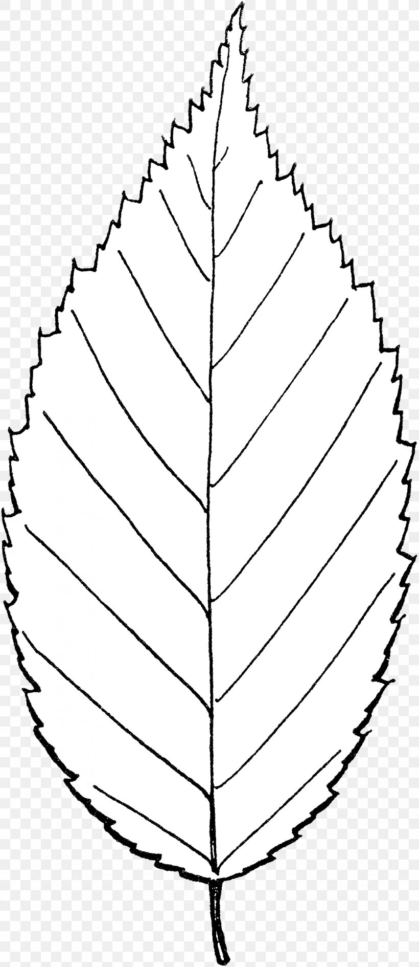 Angle Point Symmetry Leaf Pattern, PNG, 1041x2400px, Point, Blackandwhite, Leaf, Parallel, Plant Download Free