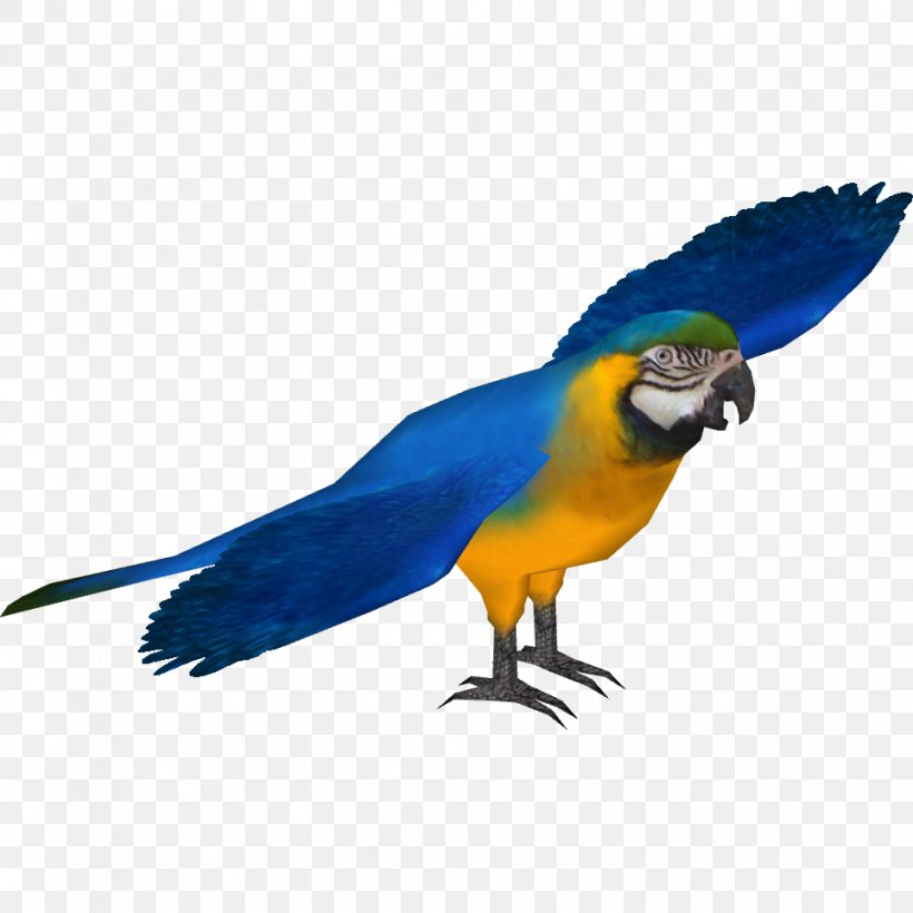 Blue-and-yellow Macaw Scarlet Macaw Blue-throated Macaw Lear's Macaw, PNG, 964x964px, Macaw, Beak, Bird, Blueandyellow Macaw, Bluethroated Macaw Download Free
