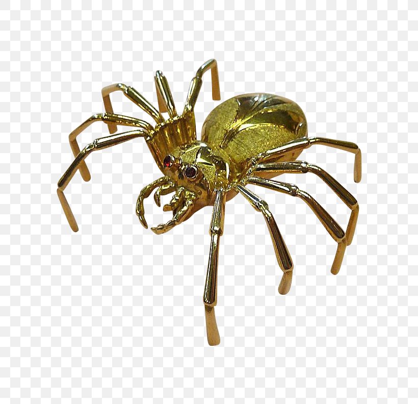 Brooch Tie Pin Angulate Orbweavers Gold Spider, PNG, 792x792px, Brooch, Angulate Orbweavers, Arachnid, Araneus, Arthropod Download Free