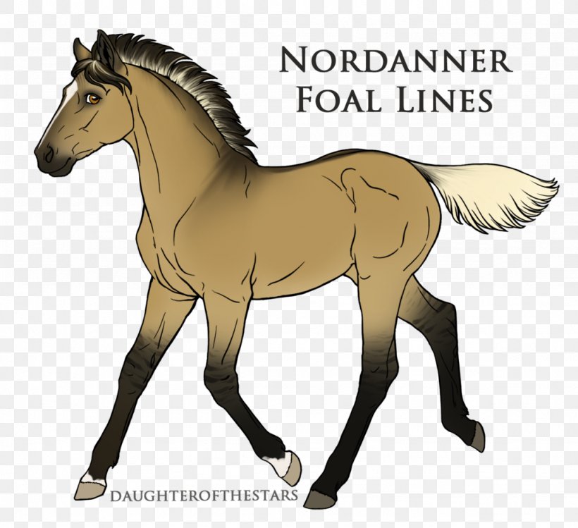 Foal Stallion Pony Mustang Colt, PNG, 1024x936px, Foal, Animal Figure, Bridle, Colt, Drawing Download Free