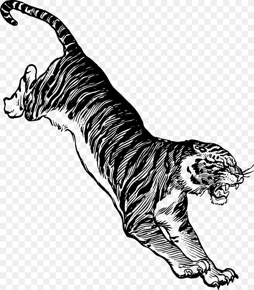 Vector Graphics Drawing Felidae Clip Art White Tiger, PNG, 2100x2400px, Drawing, Animal, Animal Figure, Bengal Tiger, Big Cats Download Free