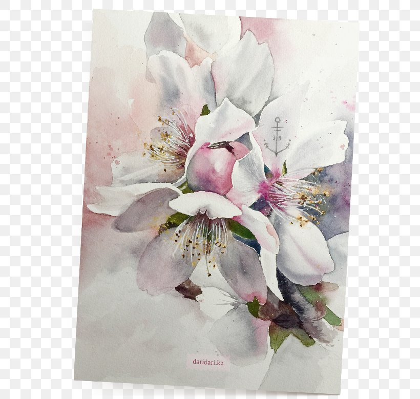 Watercolor Painting Spring Almond Blossoms Floral Design, PNG, 738x779px, Watercolor Painting, Almond, Almond Blossoms, Ansichtkaart, Blossom Download Free