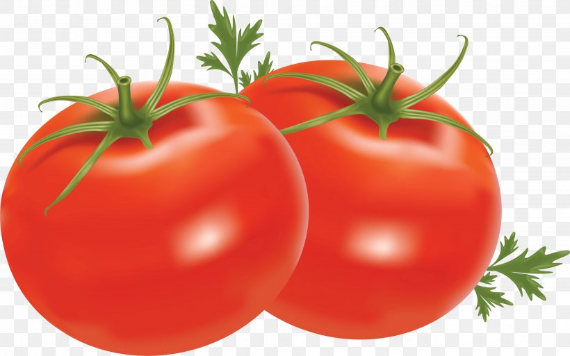 Cherry Tomato Vegetable Clip Art, PNG, 3923x2456px, Cherry Tomato, Bush Tomato, Diet Food, Food, Fried Green Tomatoes Download Free
