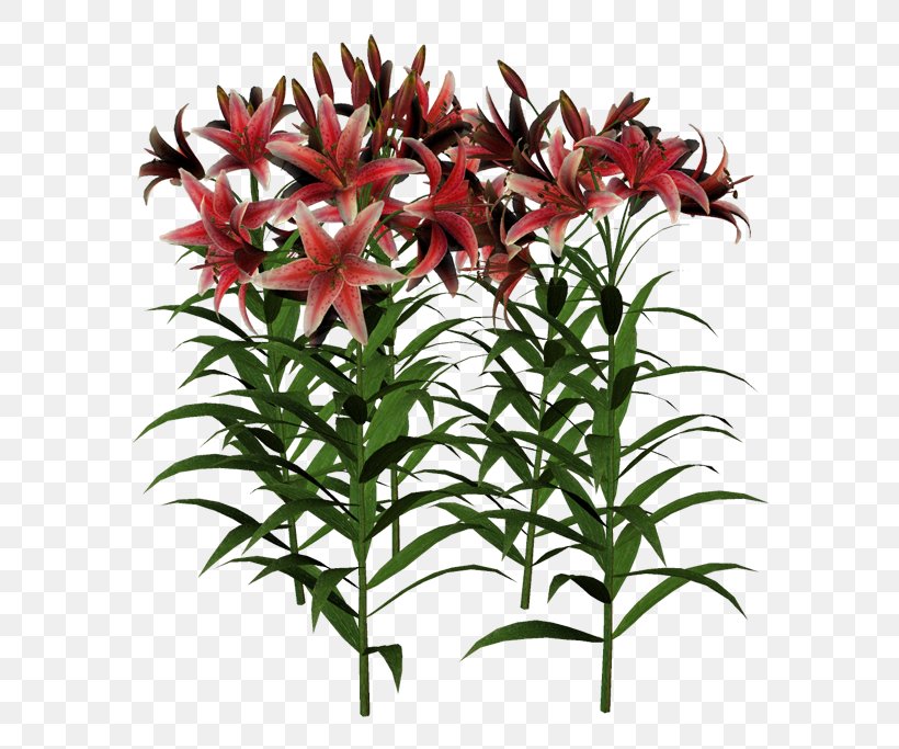 Cut Flowers Plant Stem Flowerpot Summer, PNG, 600x683px, Flower, Advertising, Ansichtkaart, Cut Flowers, Flowering Plant Download Free