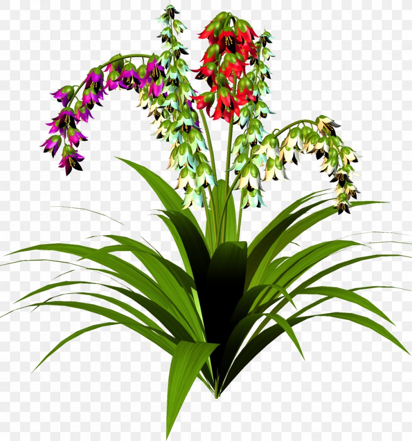 Guzmania 'Ostara' Bromelia Houseplant, PNG, 1003x1075px, Guzmania, Bromelia, Cut Flowers, Flora, Floral Design Download Free