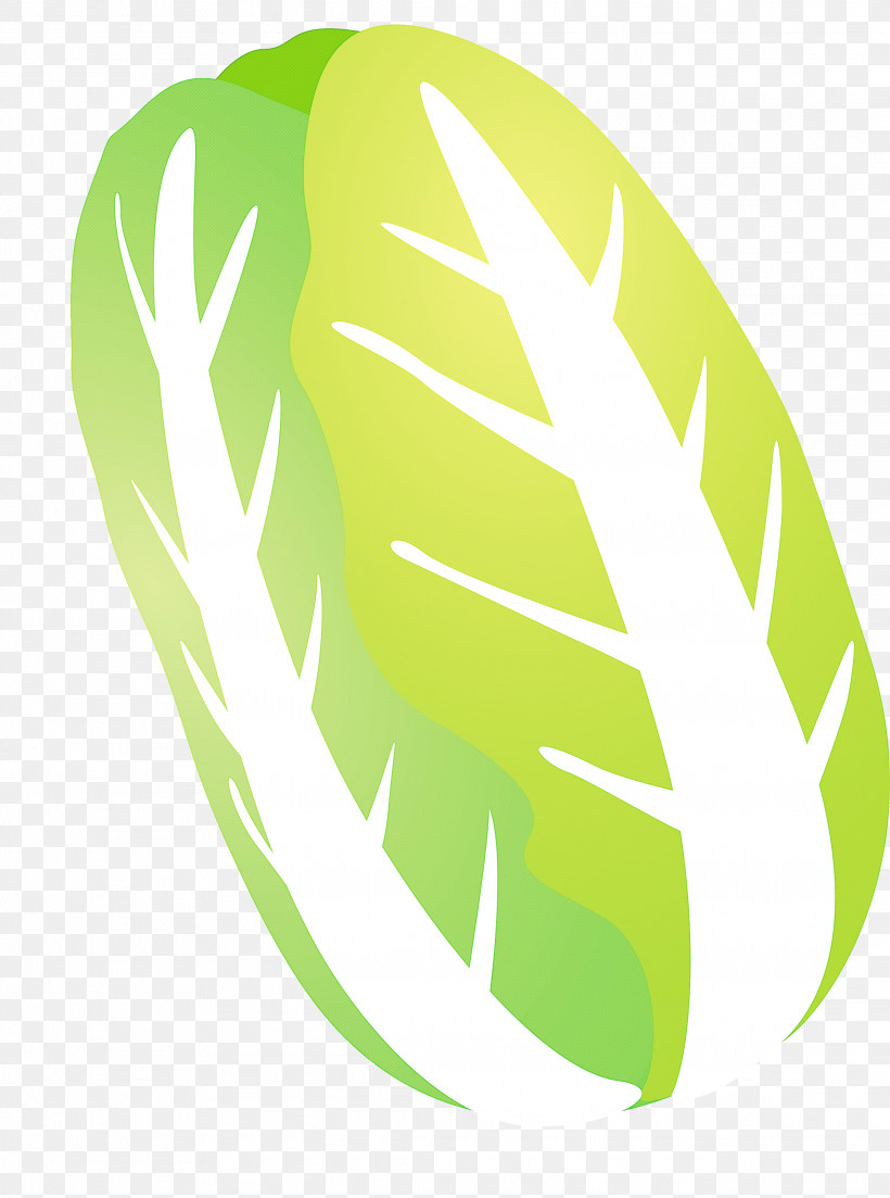 Nappa Cabbage, PNG, 2228x2999px, Nappa Cabbage, Green, Leaf, Logo, Monstera Deliciosa Download Free