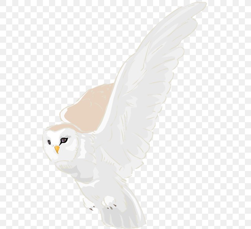 Owl Feather Beak Figurine Tail, PNG, 543x750px, Owl, Beak, Bird, Bird Of Prey, Feather Download Free