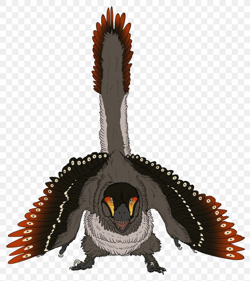 Velociraptor Buitreraptor Dinosaur Owl Beak, PNG, 1177x1326px, Velociraptor, Beak, Bird, Buitreraptor, Cat Download Free