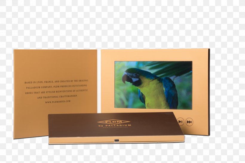 Video Brochure Advertising Pamphlet, PNG, 900x600px, Video, Adobe Captivate, Advertising, Book, Brand Download Free