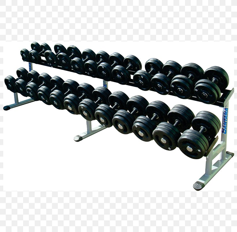 Weight Training Dumbbell CrossFit Physical Fitness Fitness Centre, PNG, 800x800px, Weight Training, Bank, Belt, Calf, Computer Hardware Download Free