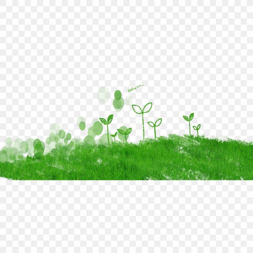 Lawn Clip Art, PNG, 1276x1276px, Lawn, Drawing, Grass, Green, House Painter And Decorator Download Free