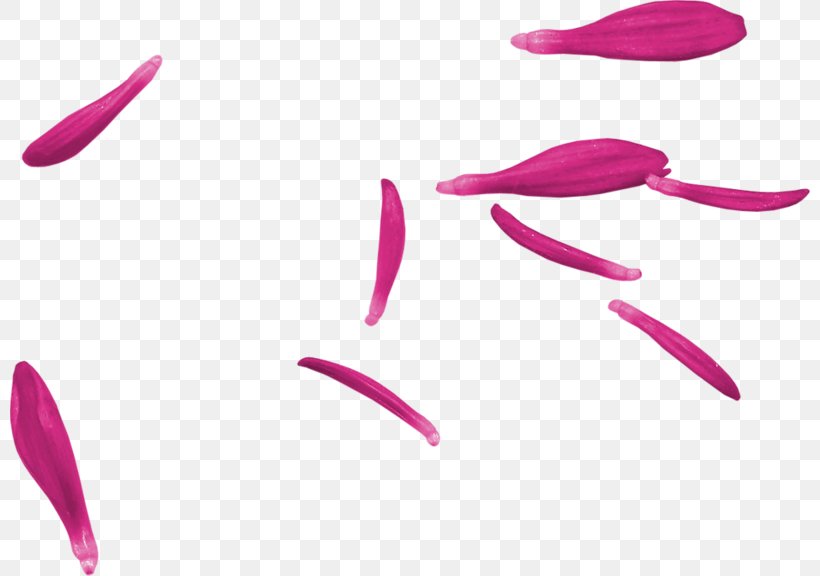Pink M Lip RTV Pink Beauty.m, PNG, 800x576px, Pink M, Beauty, Beautym, Lip, Magenta Download Free