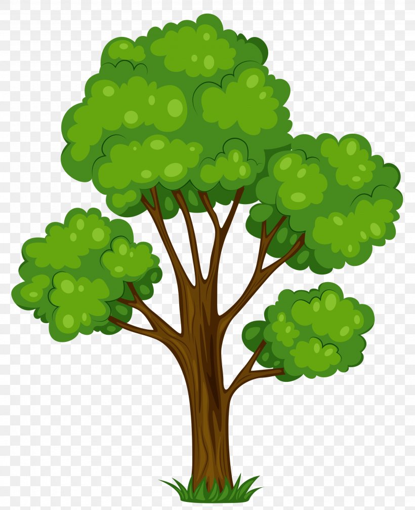 Tree Free Content Clip Art, PNG, 2970x3650px, Tree, Blog, Branch, Christmas Tree, Flowering Plant Download Free