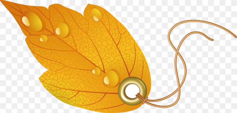 Leaf Autumn, PNG, 1323x636px, Leaf, Autumn, Autumn Leaf Color, Butterfly, Insect Download Free