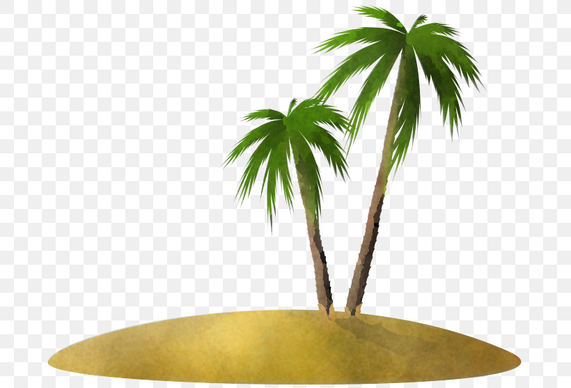 Palm Tree, PNG, 692x557px, Tree, Arecales, Flowerpot, Houseplant, Landscape Download Free