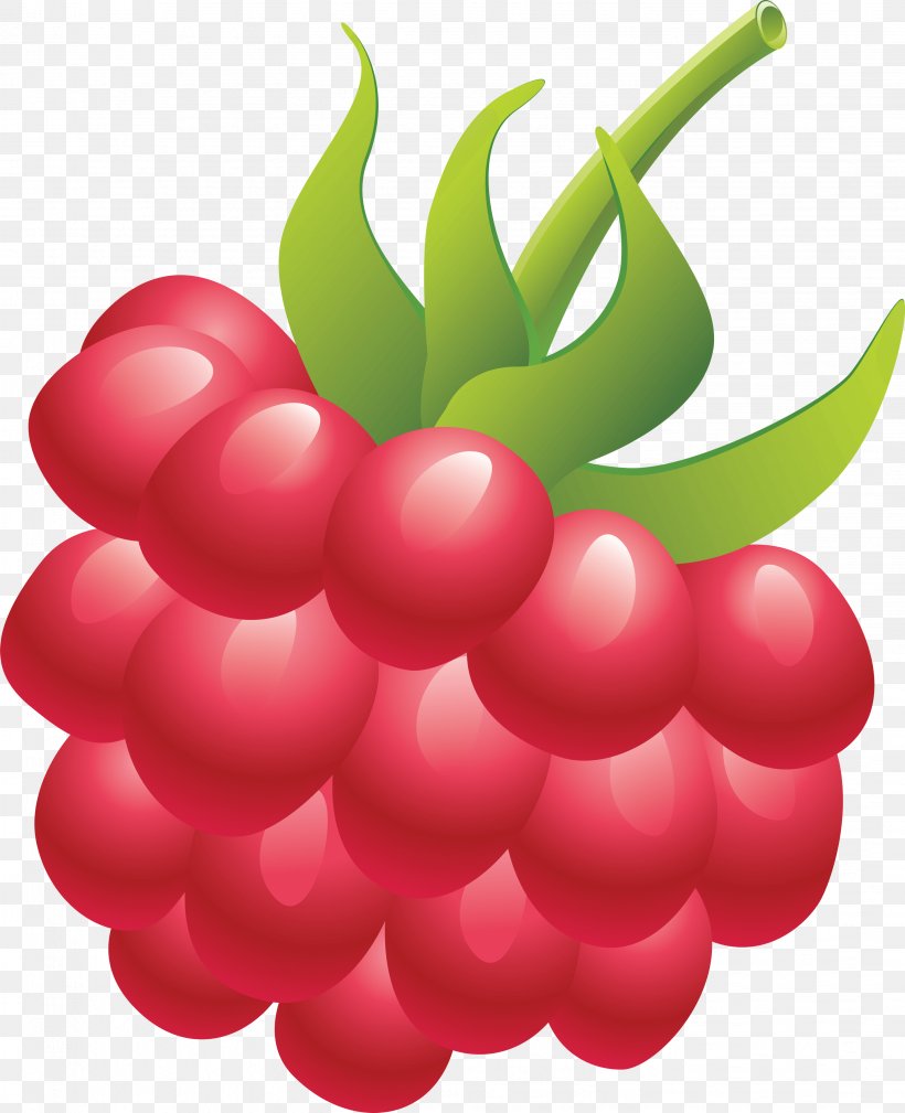 Raspberry Clip Art, PNG, 2854x3512px, Raspberry, Berry, Cartoon, Cherry, Drawing Download Free
