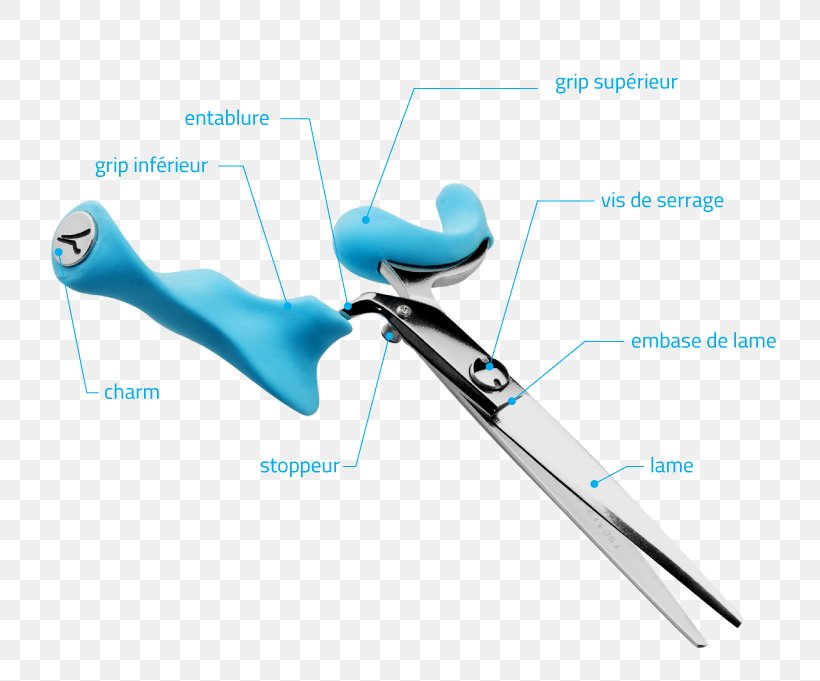 Scissors Hair-cutting Shears Chisel Cosmetologist Comb, PNG, 800x681px, Scissors, Chisel, Comb, Cosmetologist, Faq Download Free