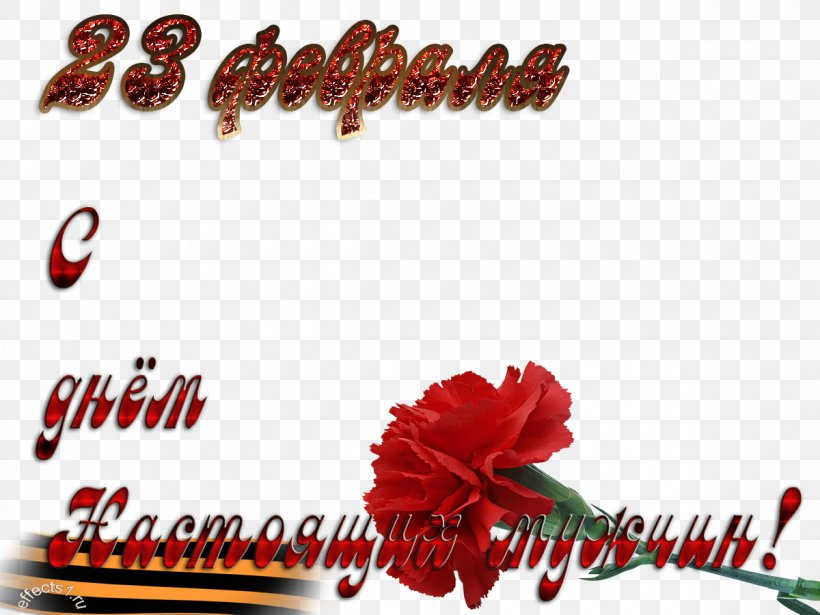 Defender Of The Fatherland Day Greeting & Note Cards 23 February Holiday Ansichtkaart, PNG, 1200x900px, 23 February, Defender Of The Fatherland Day, Ansichtkaart, Birthday, Brand Download Free