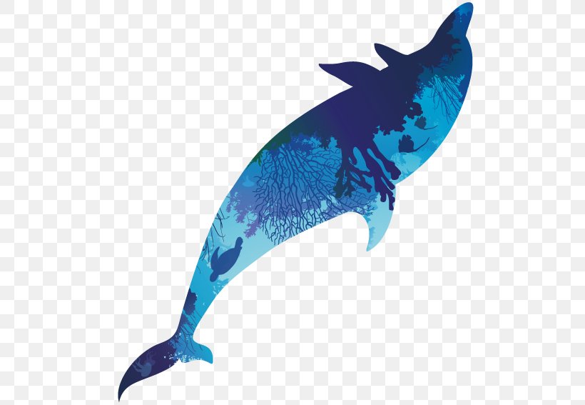 Dolphin Cobalt Blue Marine Biology Turquoise, PNG, 567x567px, Dolphin, Biology, Blue, Cobalt, Cobalt Blue Download Free
