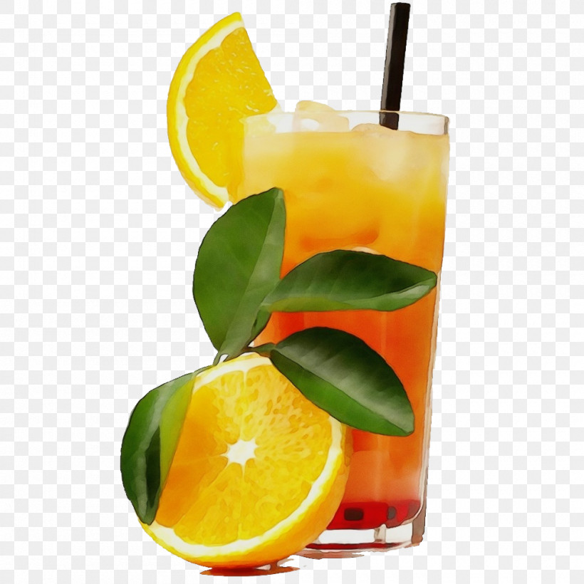 Orange, PNG, 1000x1000px, Watercolor, Caipirinha, Citrus, Cocktail Garnish, Distilled Beverage Download Free