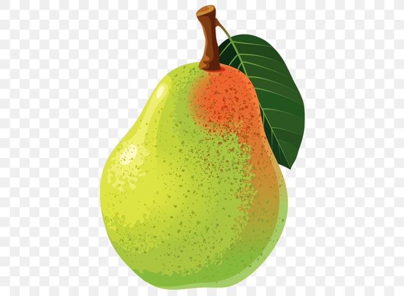 Pear Food Clip Art, PNG, 432x600px, Pear, Amygdaloideae, Apple, Bosc Pear, Diet Food Download Free