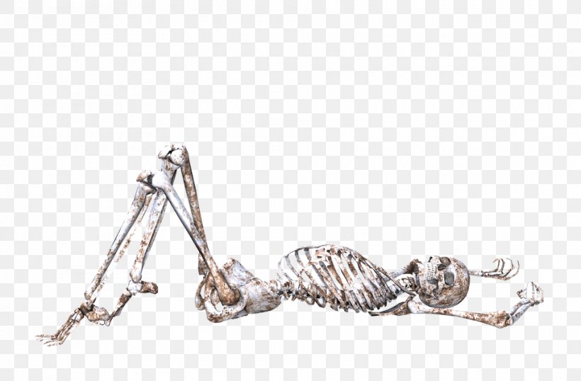 Skull Human Skeleton Bone Body, PNG, 960x630px, Skull, Anatomy, Arm, Body, Body Jewelry Download Free