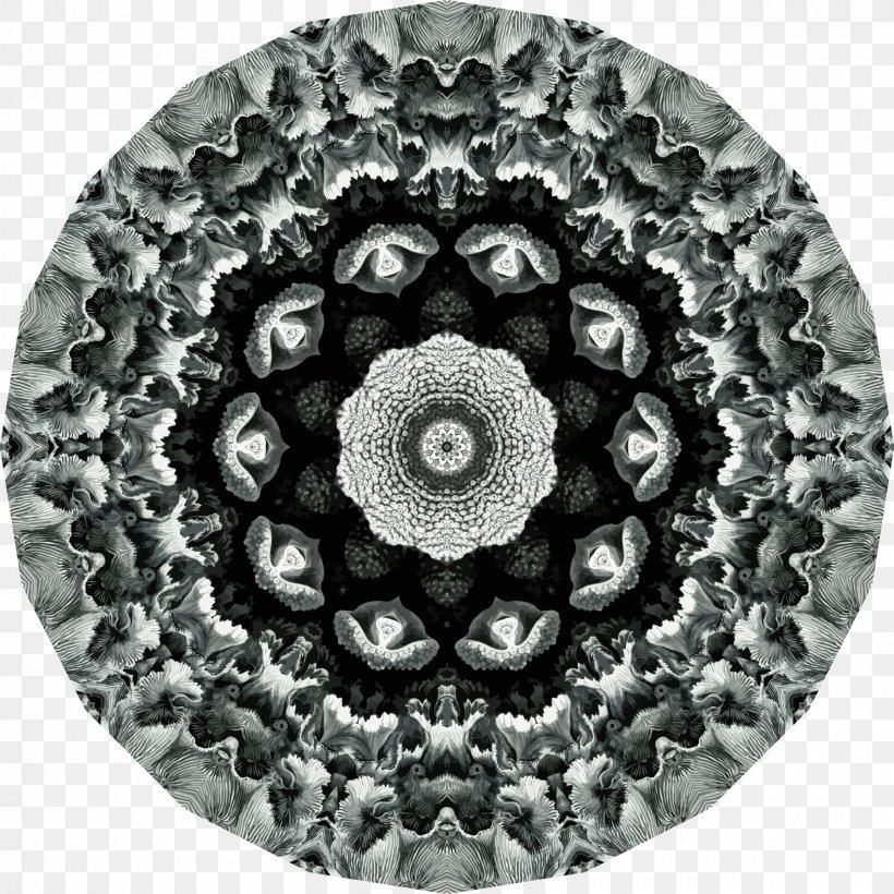 Art Forms In Nature Symmetry Hexacorallia Printmaking, PNG, 2400x2400px, Art Forms In Nature, Art, Black And White, Ernst Haeckel, Hexacorallia Download Free