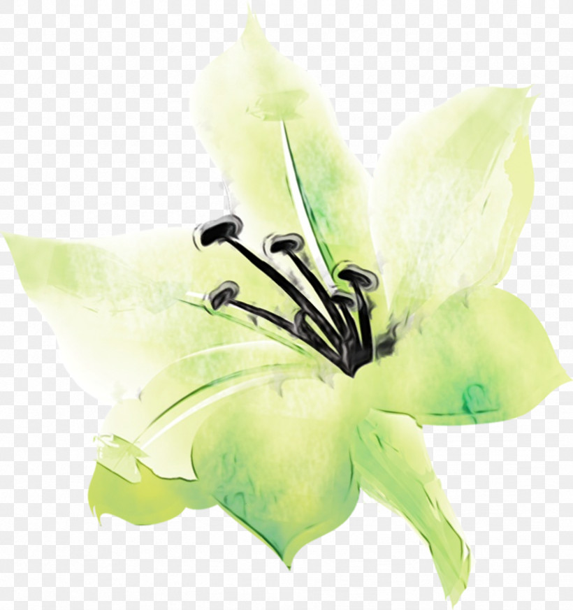 Artificial Flower, PNG, 821x875px, Watercolor, Artificial Flower, Cut Flowers, Flower, Green Download Free
