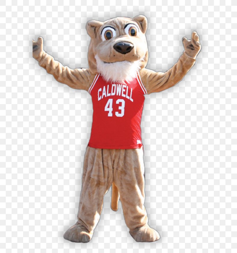 Caldwell University Caldwell Cougars Women's Basketball Caldwell Cougars Men's Basketball College, PNG, 690x875px, Caldwell University, Caldwell, Carnivora, Carnivoran, College Download Free