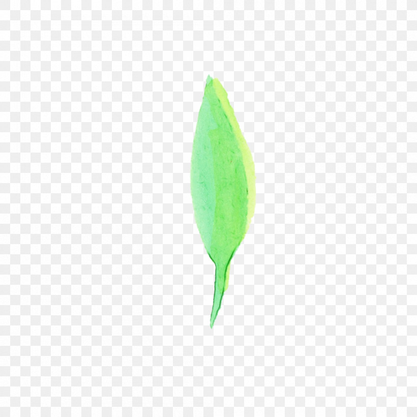 Feather, PNG, 1000x1000px, Watercolor Leaf, Feather, Flower, Green, Leaf Download Free