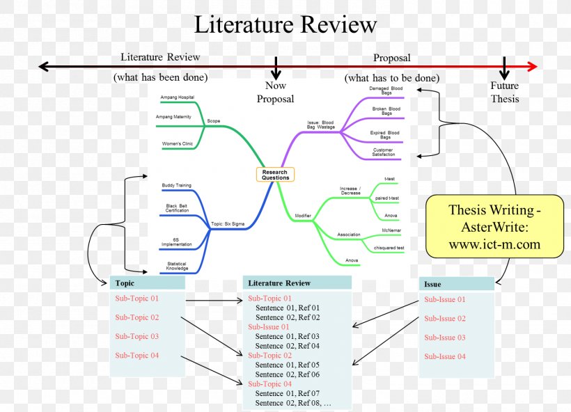 literature review conceptual mapping