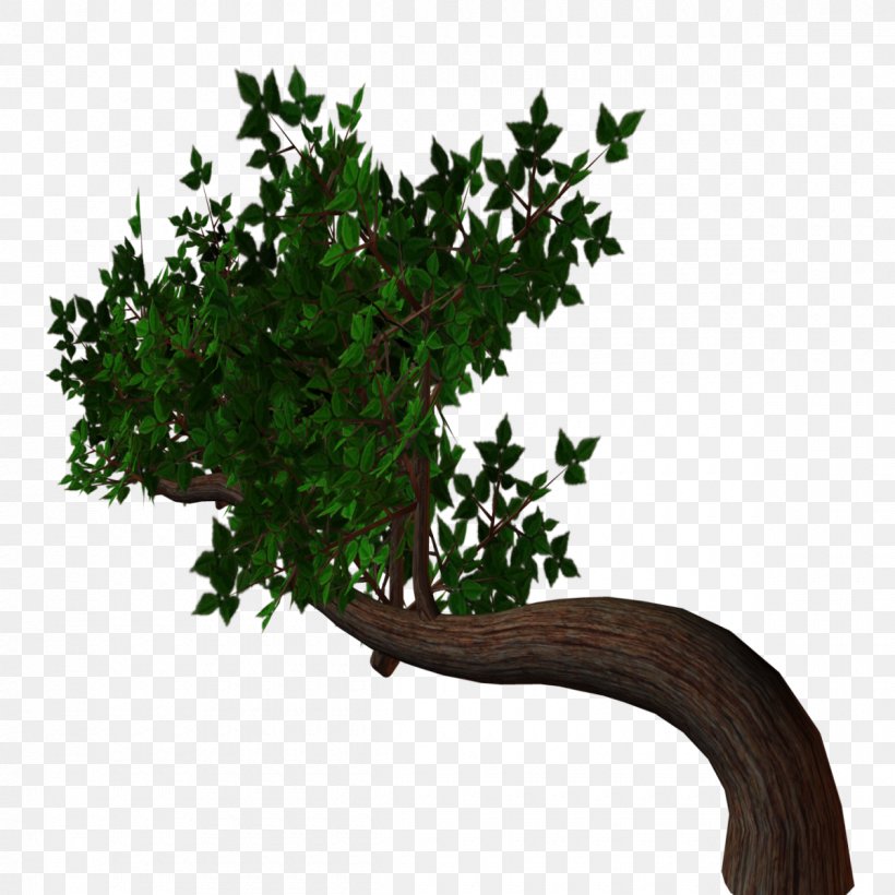 Tree Drawing Clip Art, PNG, 1200x1200px, Tree, Art, Branch, Cartoon, Collage Download Free