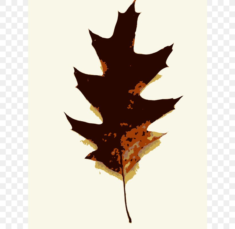 Tree Oak Leaf Clip Art, PNG, 626x800px, Tree, Autumn, Free Content, Leaf, Maple Leaf Download Free
