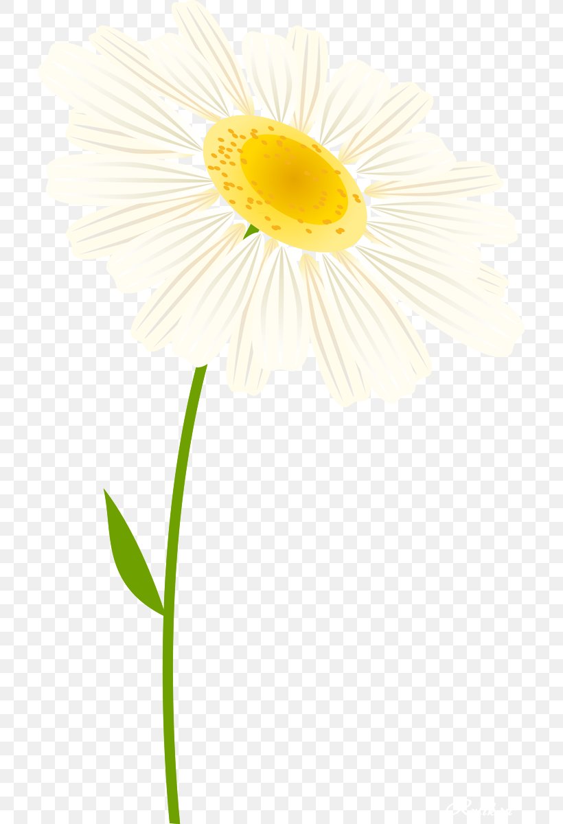 Daisy Family Oxeye Daisy Cut Flowers Transvaal Daisy, PNG, 709x1200px, Daisy Family, Advertising, Cut Flowers, Daisy, Flower Download Free