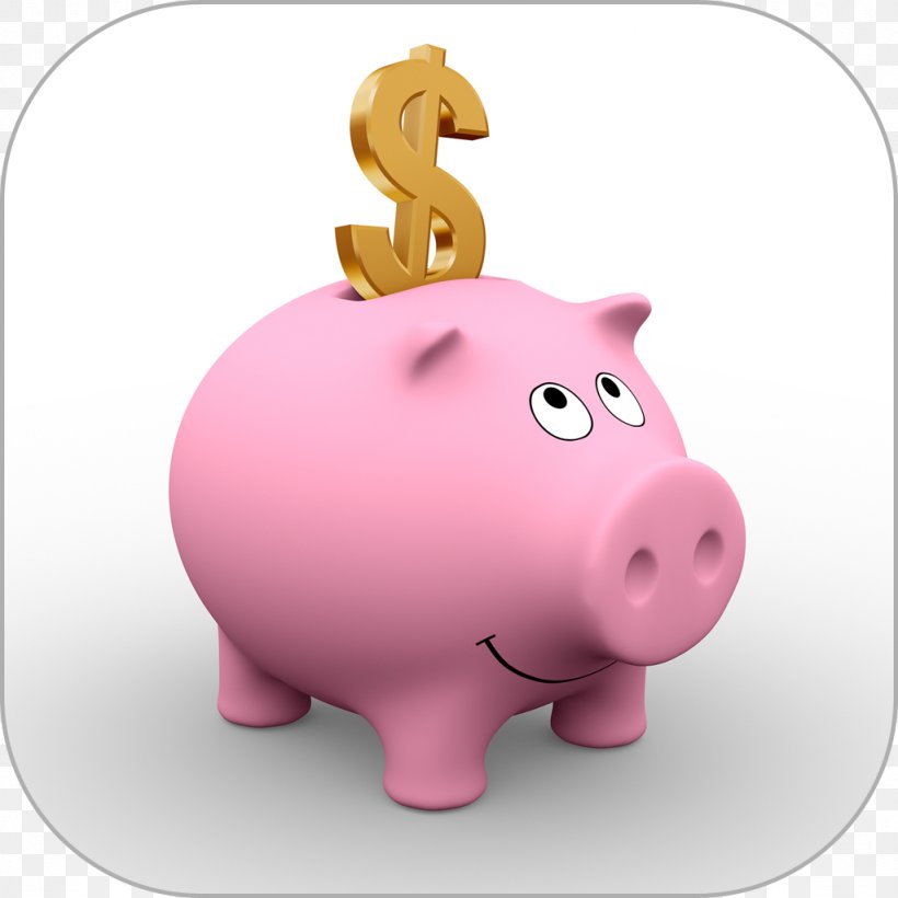 Saving Piggy Bank Money Funding, PNG, 1024x1024px, Saving, Bank, Budget, Coin, Credit Download Free