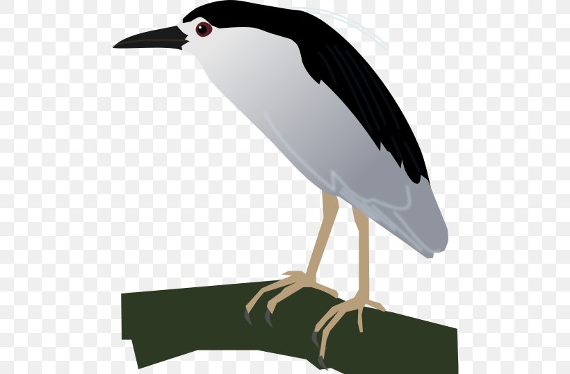 Stork Water Bird Crane Beak, PNG, 500x539px, Stork, Animal, Beak, Bird, Ciconiiformes Download Free